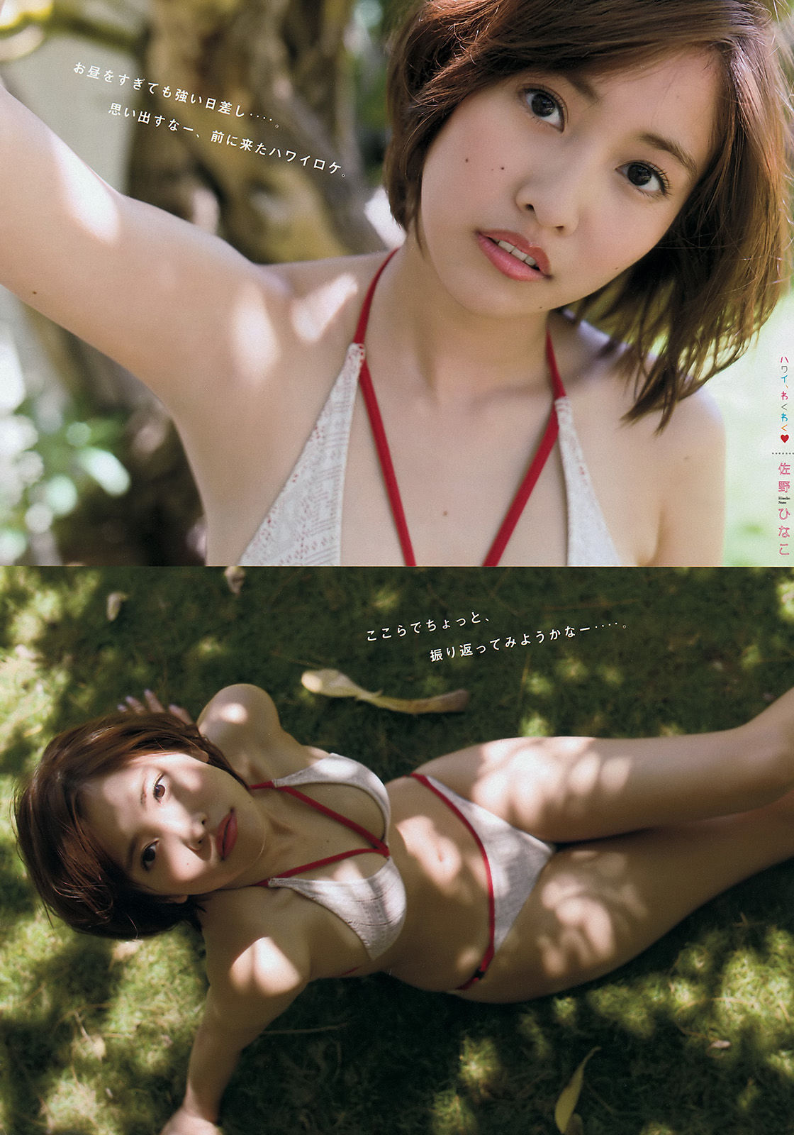 [Young Magazine] Hinako Sano Ayumi Harano 2016 No.29 Photo
